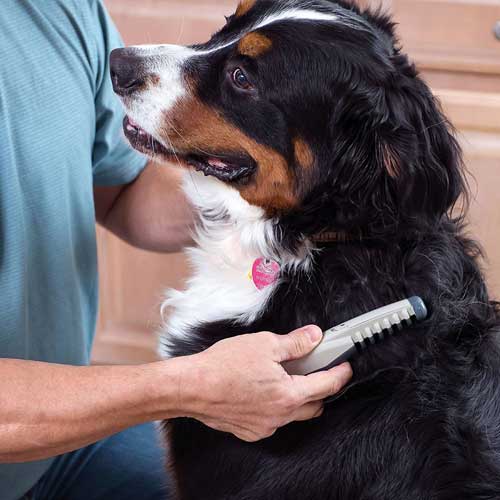 hreben-pre-psy-proti-uzlom